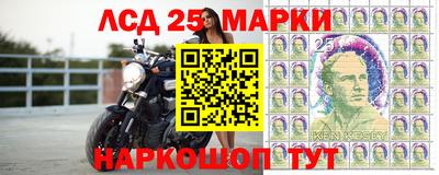 гидра Владикавказ