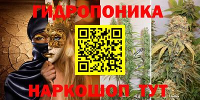 дурь Владимир