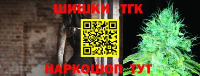 гидра Владикавказ