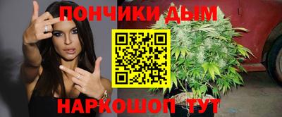 гидра Владикавказ