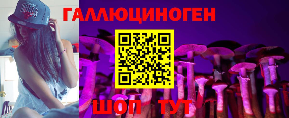 Краснознаменск  Галлюциногенные грибы мицелий  Псилоцибиновые грибы GOLDEN TEACHER  Вход с VPN 